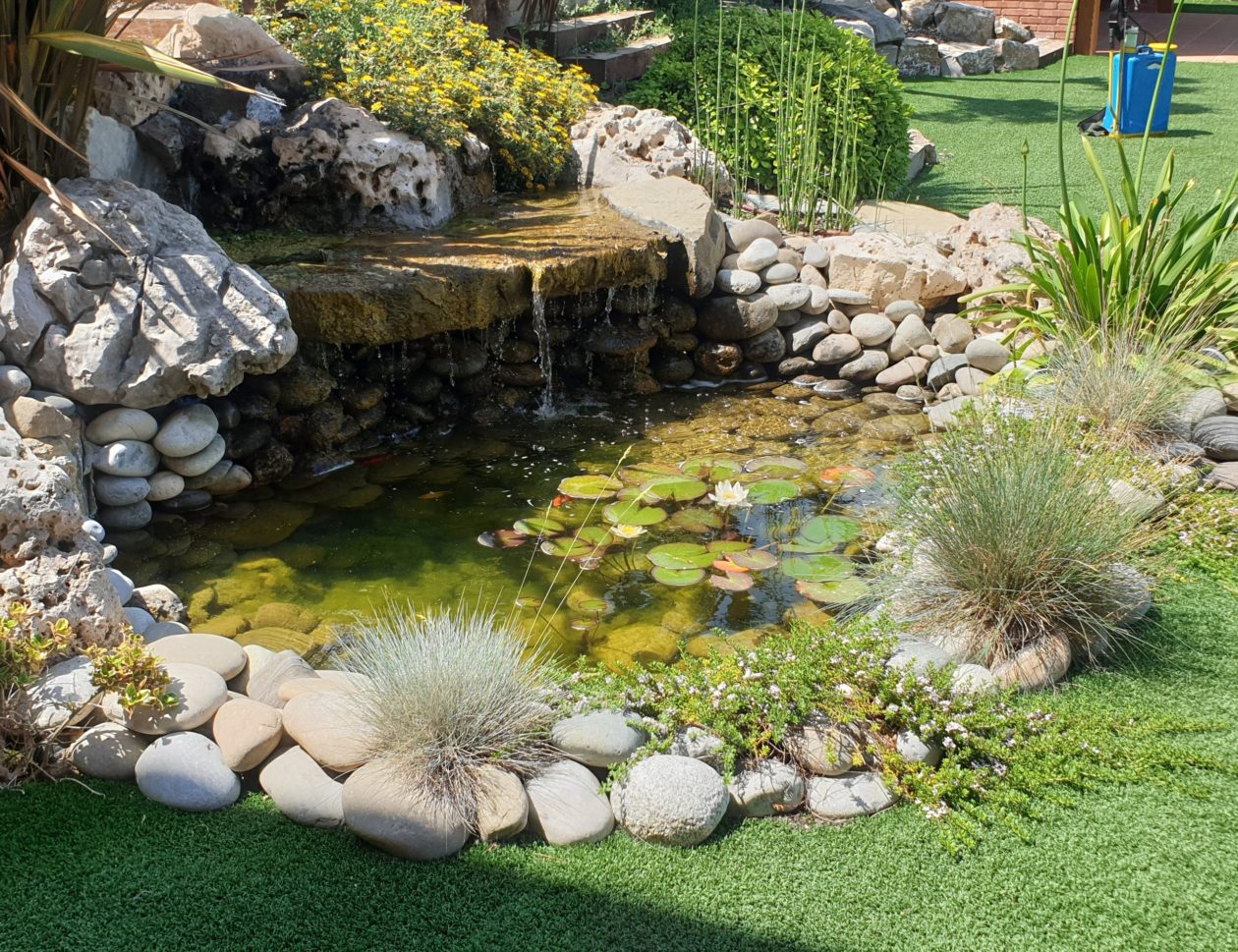 Estanque - Jardinería Plaza estanque de agua con piedra natural
